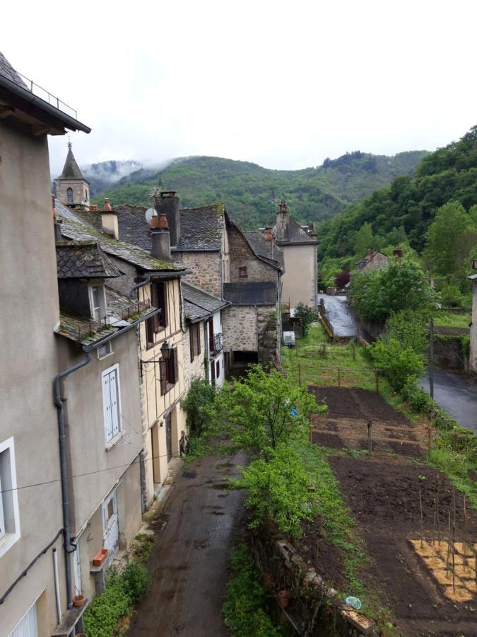 Suite Avec Vue Panoramique Sur La Truyere Entraygues-sur-Truyère Kültér fotó